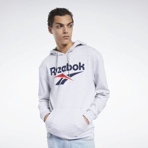 Reebok Classic Vector Kapuzenpullover Herren - HellGrau - DE 948-CMW